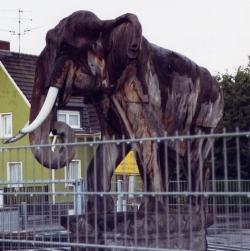 elefant.jpg